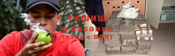 индика Алексин