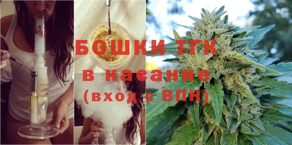 индика Алексин