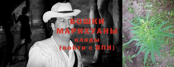 ешки Алзамай