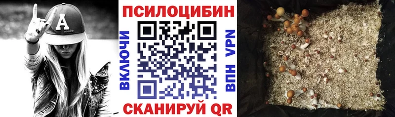 Галлюциногенные грибы Psilocybe  дарнет шоп  Райчихинск 